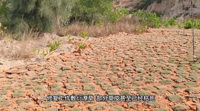 完美电竞中央督察组点名福建南安名为矿山修复实为矿产开采(图3)