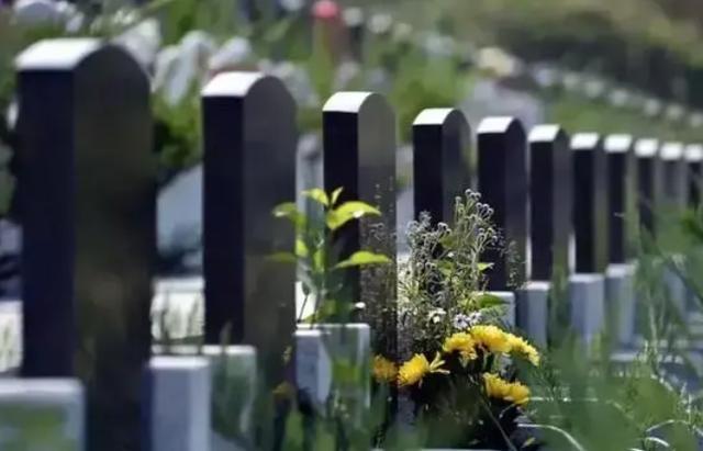 女子疑因生活压力大在母亲墓地轻生,被发现时已陷入昏迷