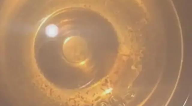 女教师称水杯疑被投放不明物质，班内搞匿名检举，对方却不承认？