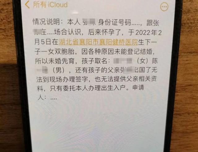 代孕婴儿被伪造双胞胎证明 官方通报