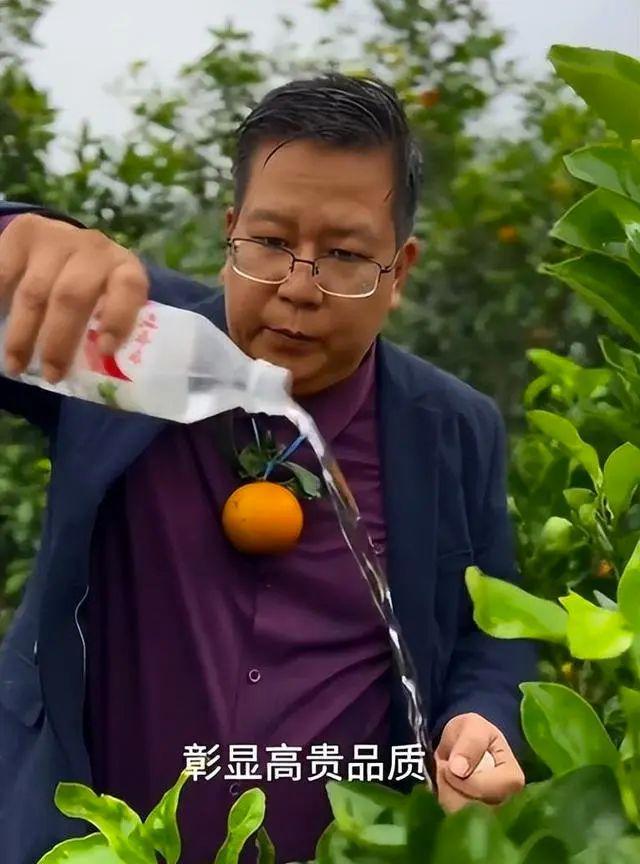 广西武鸣沃柑“橘长”魔性宣传 网友：哥，我买还不行吗？！
