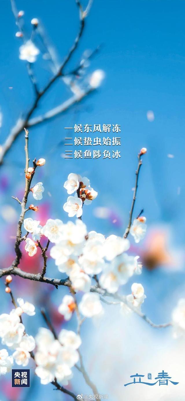 兔年的第二个立春来了大地回暖渐渐苏醒迎接春天