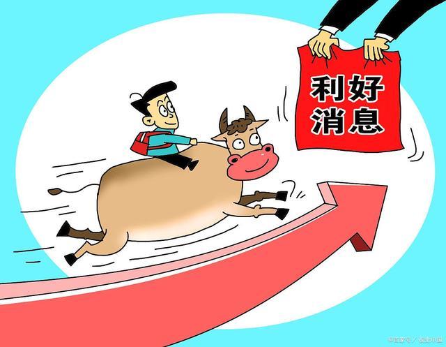 涨了，涨了，猪价又是“红彤彤”！