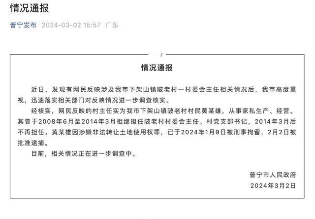 广东一村干部坐拥60亩地用40亩盖高楼别墅 官方：已逮捕