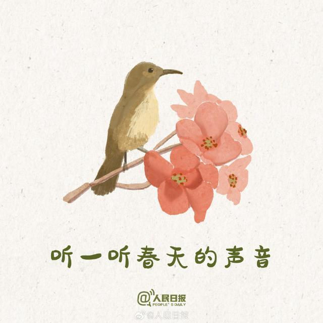 收藏打卡！9件仪式感满满的春日小事