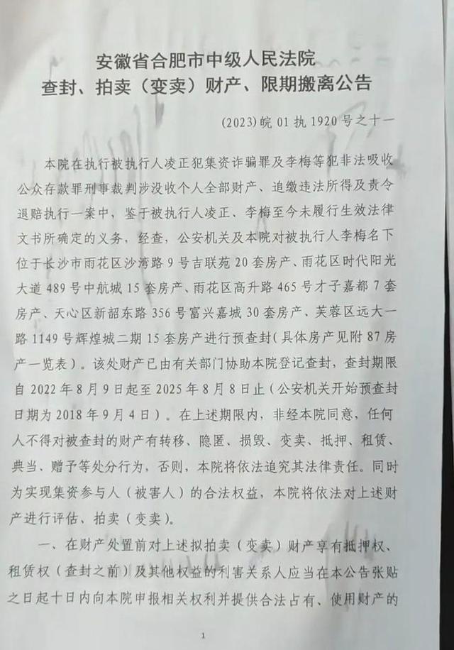 合肥女子名下87套长沙住宅被查封，涉案资金达亿元