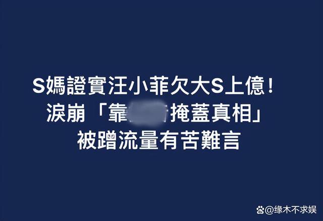 S妈痛哭控诉汪小菲三宗罪！妈妈们下场更抓马了！没完了