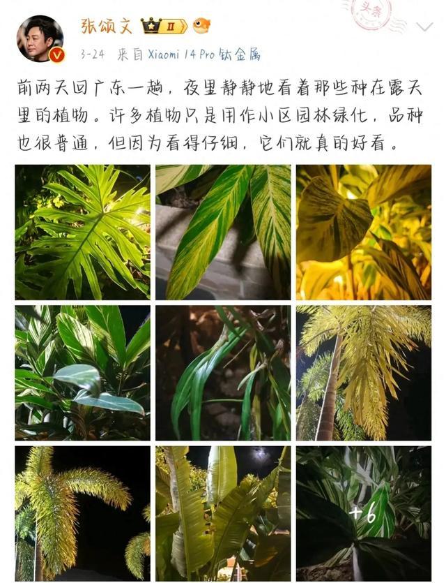 张颂文回应雷军送小米SU7：一句玩笑话您别当真，不过橄榄色挺好看的