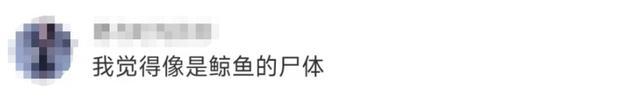 不明生物尸体被冲上马来西亚海滩 官方正进行DNA鉴定