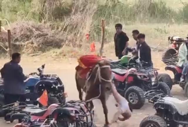 男童骑马被拖行数百米去世