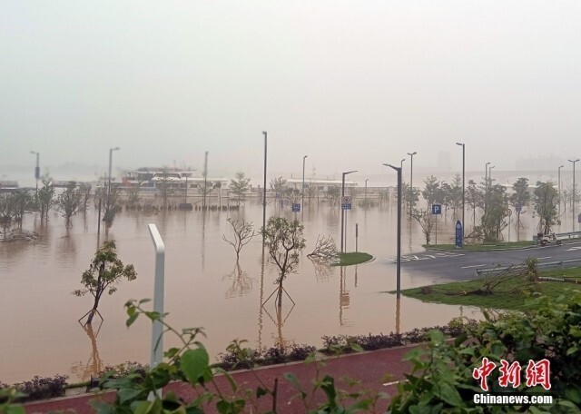 珠江流域北江沿江树木道路被淹 暴雨连袭，多地告急
