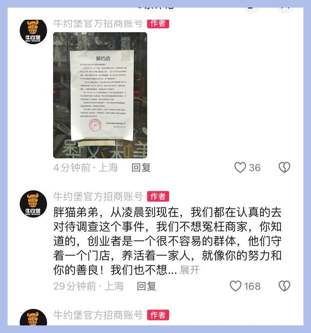 胖猫已火葬 收集热议背后的纯爱与商说念博弈