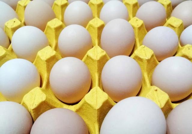 国外蛋价飙涨消费者开始囤蛋 多国面临鸡蛋价格历史新高