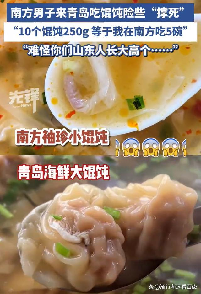 山东10个馄饨250克吃懵南方人