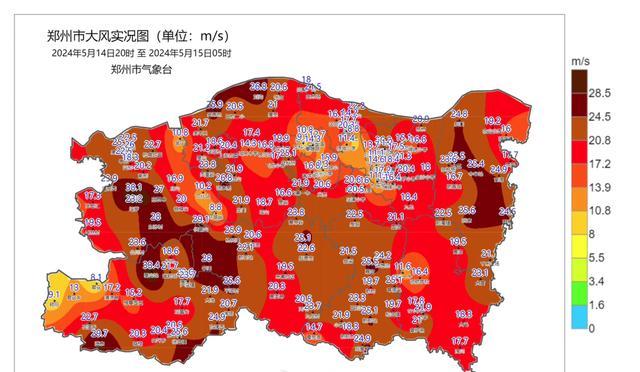 郑州大风致多棵大树被连根拔起 11级狂风肆虐全城