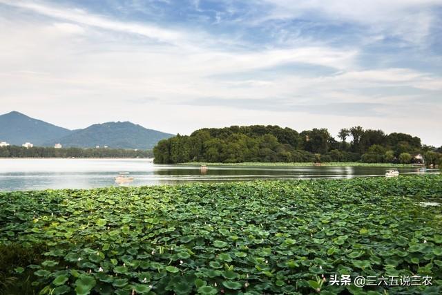 四月初八“九龙吐水”日 晴天阴雨哪个好？