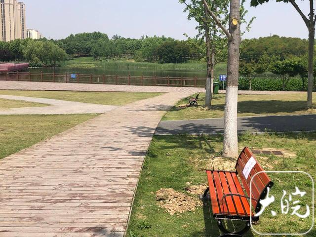 合肥两大型公园“人多椅少” 追踪：新一批休闲座椅已安装