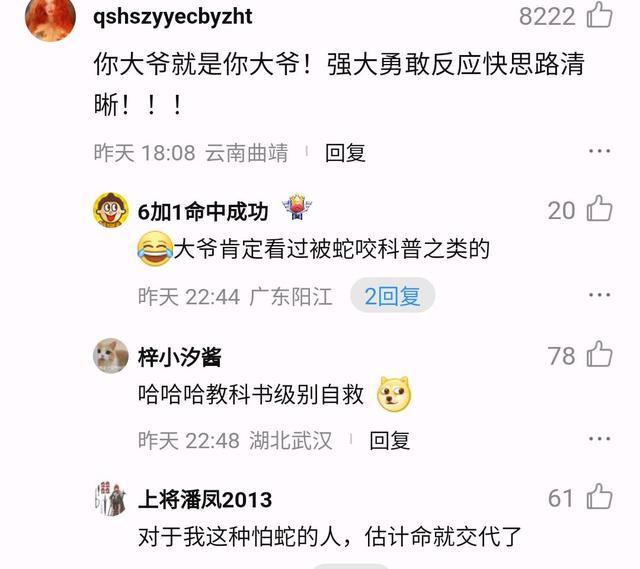 八旬老人被毒蛇咬后忍痛打死带去医院 教科书式自救引赞叹