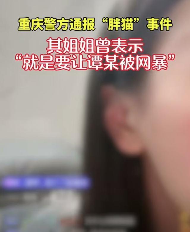 怎么看待胖猫的这件事？网络暴力背后的真相与反思