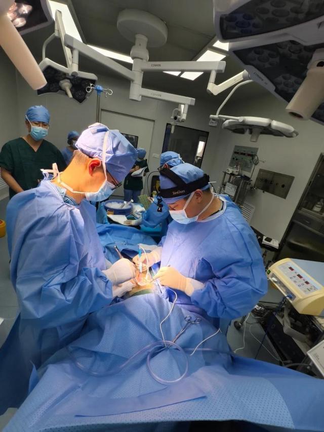 中国医生将猪肝移植给肝癌病人，系世界首例活体人的异种肝移植手术！