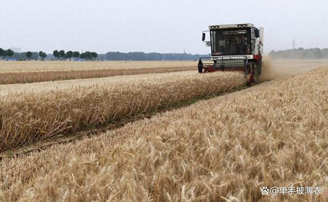 偷几十亩小麦主动送回不追责可能吗