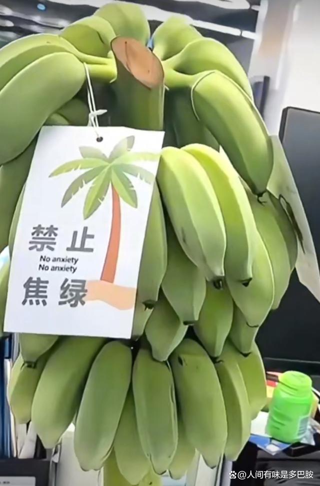 大厂员工离职后卖蕉绿月入200万 创意疗法缓解职场焦虑