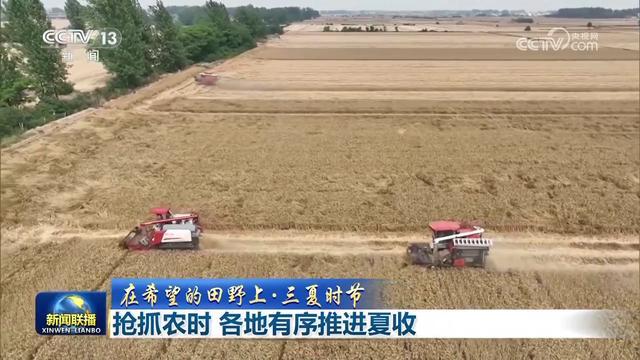 抢抓农时 各地有序推进夏收 科技助力高效农机显身手