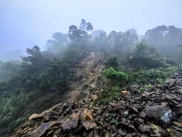 紧急提醒！梧桐山一处发生塌方