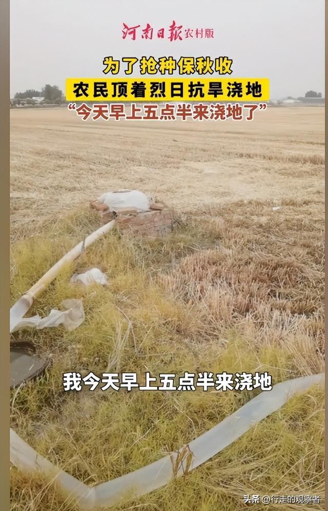 河南发布干旱橙色预警 多地农户抗旱保收忙