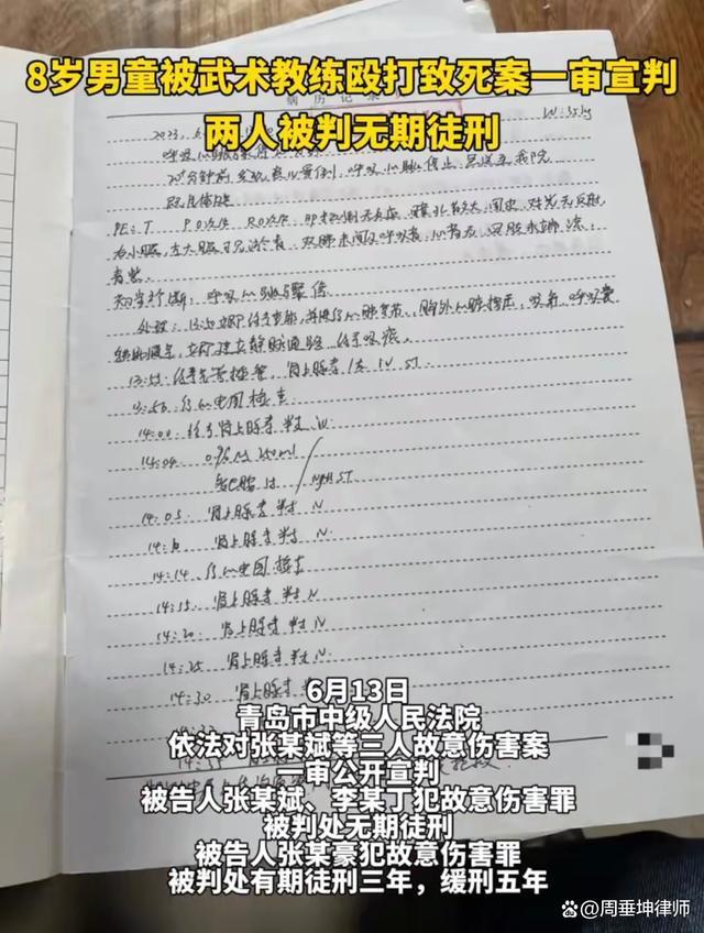 律师解读教练打死男童为何不判死刑？