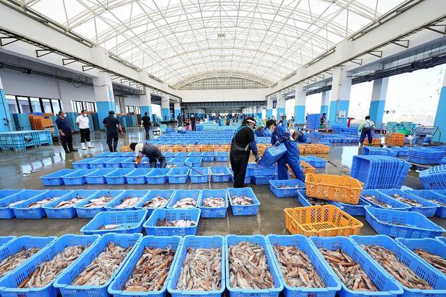 日本渔业从业者14年少了10万人 产量下滑，渔村活力减退