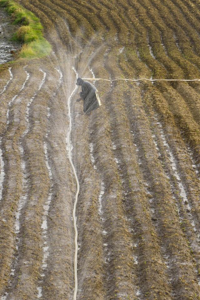 河南有农户一个人浇地60亩 抗旱保苗下的艰辛努力