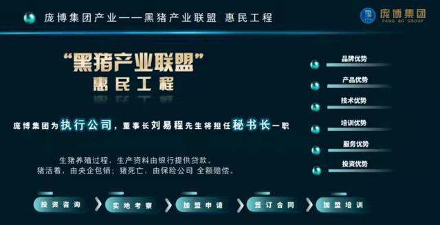 认养黑猪返利？警惕新型传销 涉资4亿，头目获刑6年