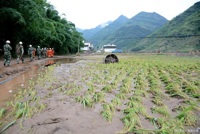 梅雨真的是不打诳语啊！“早梅雨不休，晚梅旱断伏”有道理吗？