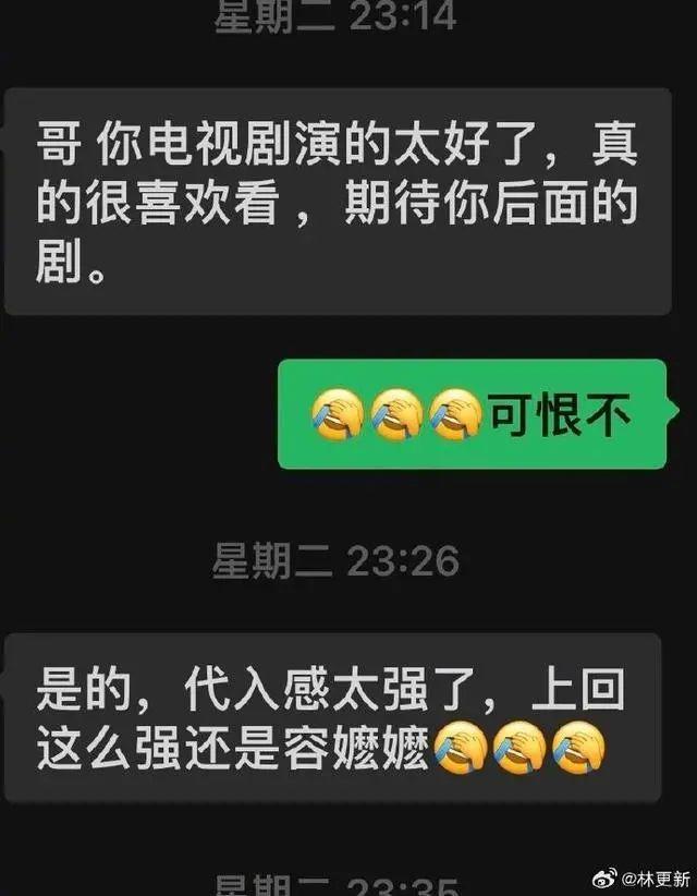 不是爽剧但还是爆了 你被玫瑰的故事方协文气坏了吗