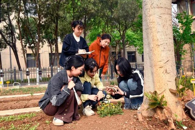 高校6人宿舍全员考研上双一流 逐梦之旅，全员“上岸”