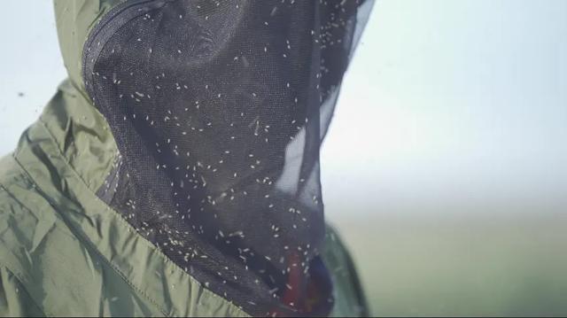 在世界四大蚊虫聚集地之一驻守，是一种怎样的体验？