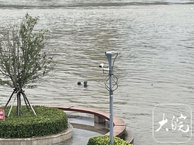 芜湖网红雕塑“一家三口”被淹 完全看不到了