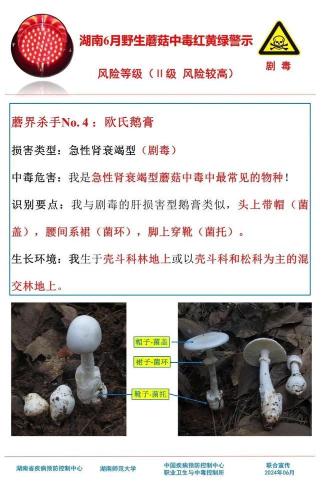 建议云南人最近吃饭先别发筷子 警惕菌子中毒风险