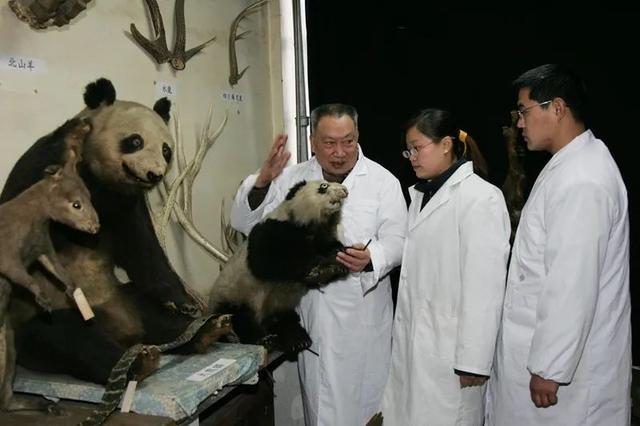 四川“熊猫大学”来了 首招本科生，共育大熊猫守护者