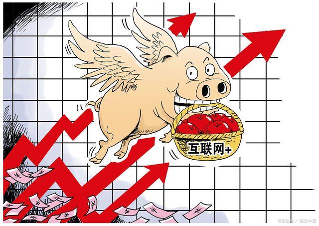 猪价涨势反扑，南北市场“一片红”！