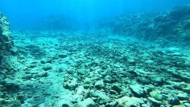 菲发“声明”倒打一耙 专家：菲方气急败坏 仁爱礁生态谁之过？