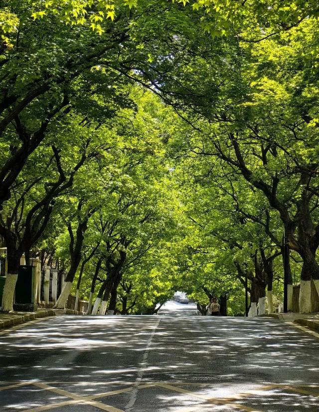 现实中的西虹市原来藏在青岛 跟随电影《抓娃娃》畅游这座美丽城市！