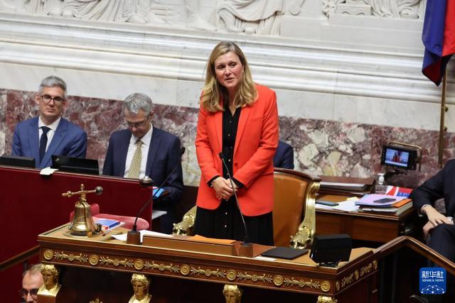 法国国民议会议长获得连任 女性议员续写历史