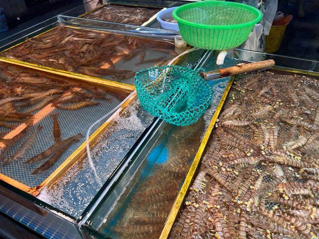 鲜虾大量上市现在是囤虾最好时机 美味实惠正当季