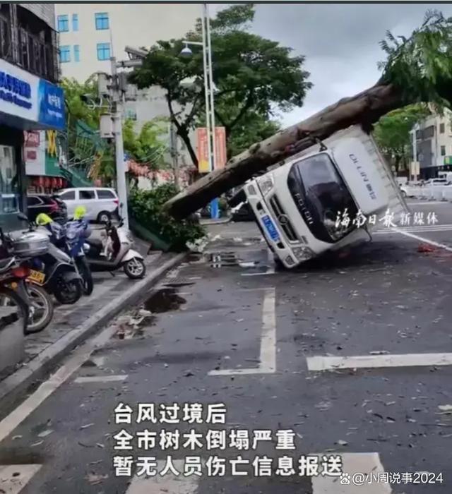 大树被台风连根拔起砸倒货车 灾后重建显温情