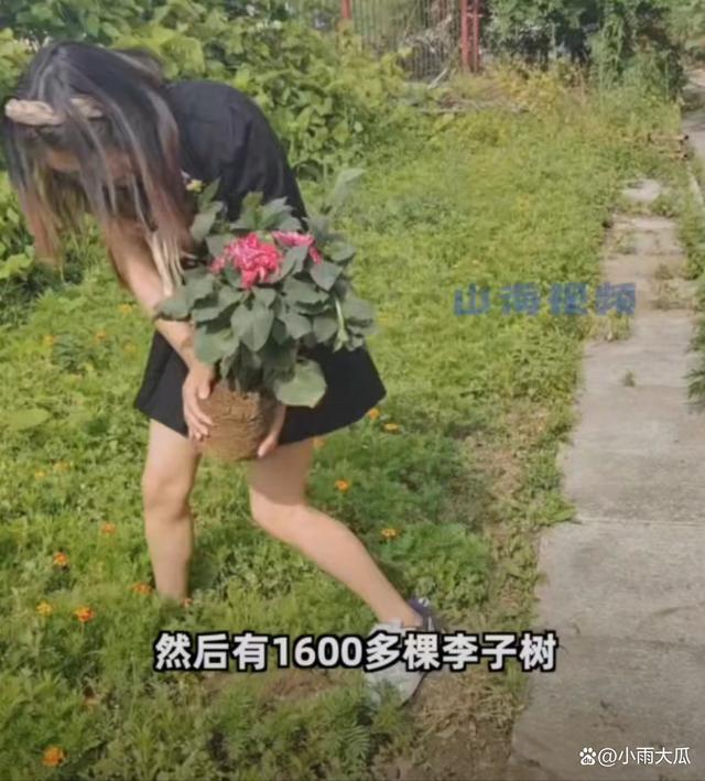 38岁女子提前入住养老院 每月2千独间4个菜