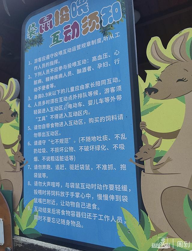 游客在上海野生动物园被袋鼠暴揍 浸入式展区”如何让人安心“浸入”？