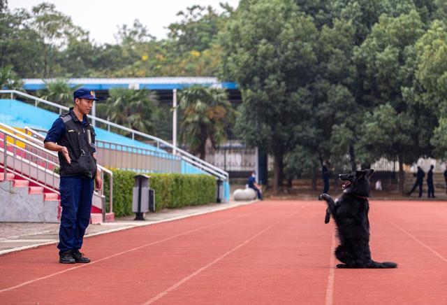 消防员火场救出发抖小狗，致敬无言英雄搜救犬小易