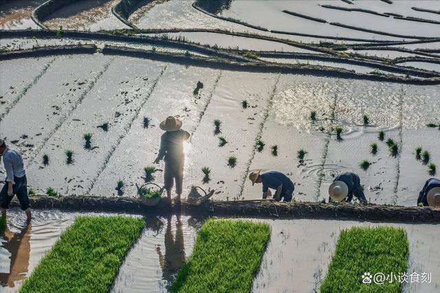 “收不收，就看七月七” 今年会丰收吗？